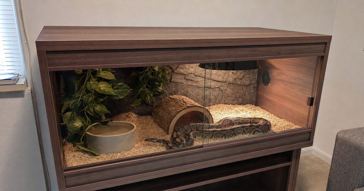 A wood-grain front-opening PVC vivarium enclosure set up for a ball python with a hide, aspen substrate and a water bowl.